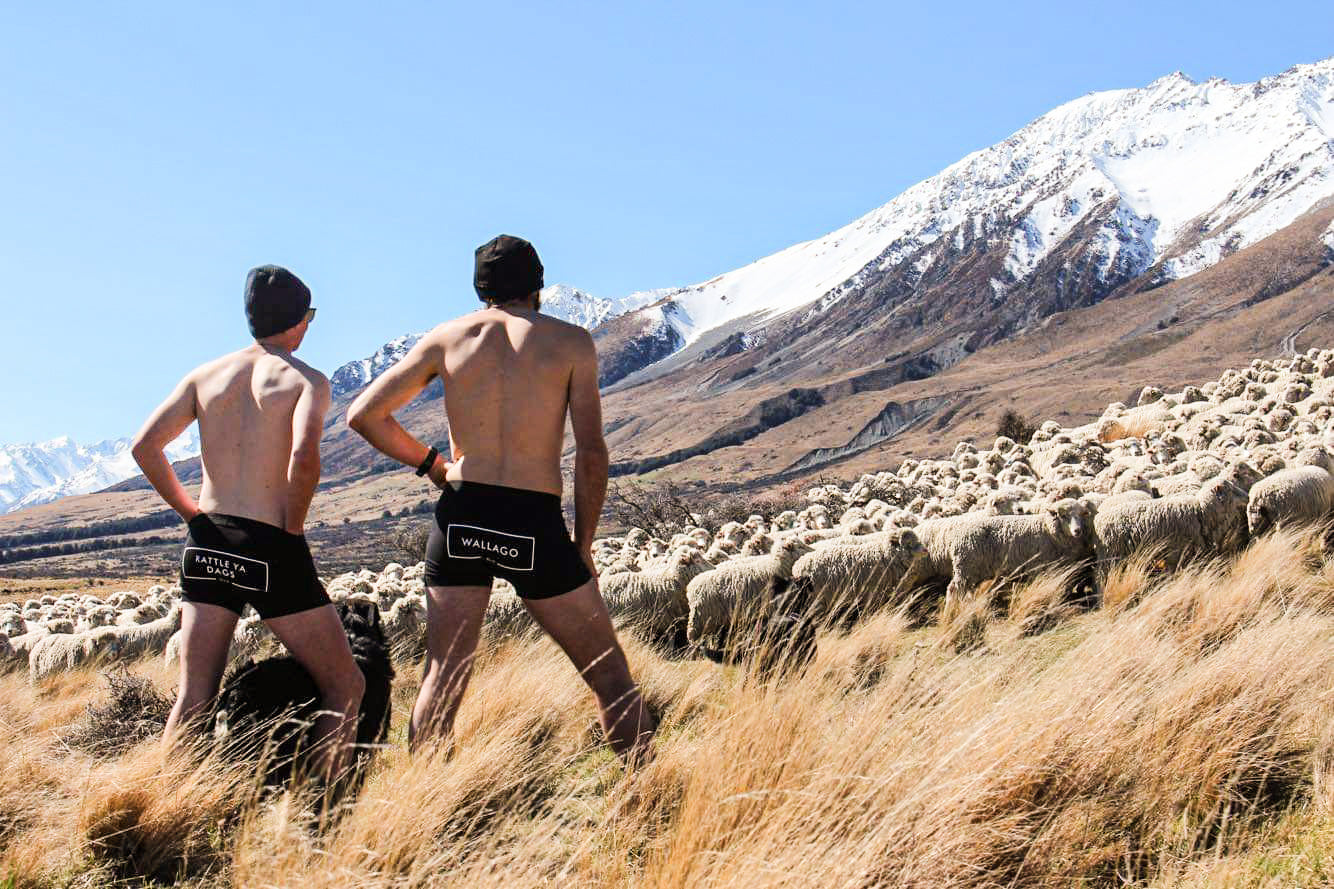 Fundies - Shut the front Gate