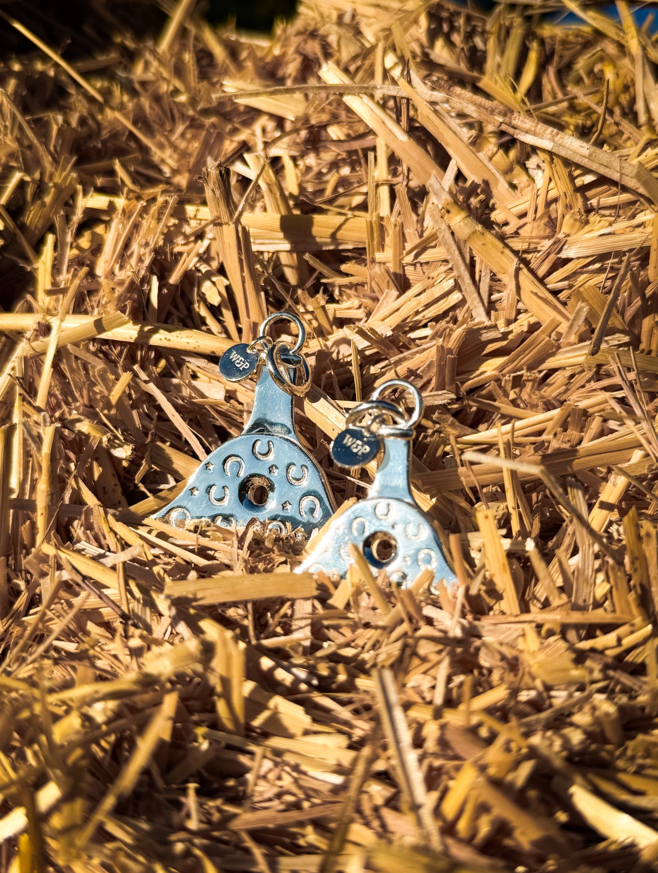 Heritage Horse shoe Whistle Pendant ~ Medium