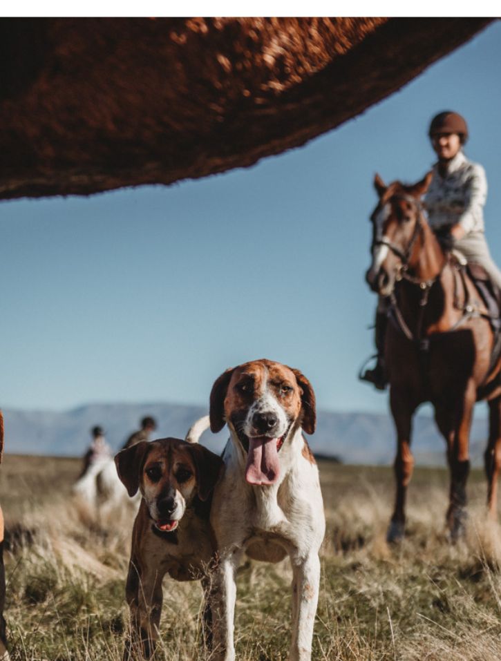 Hunter Gatherer Hound necklace
