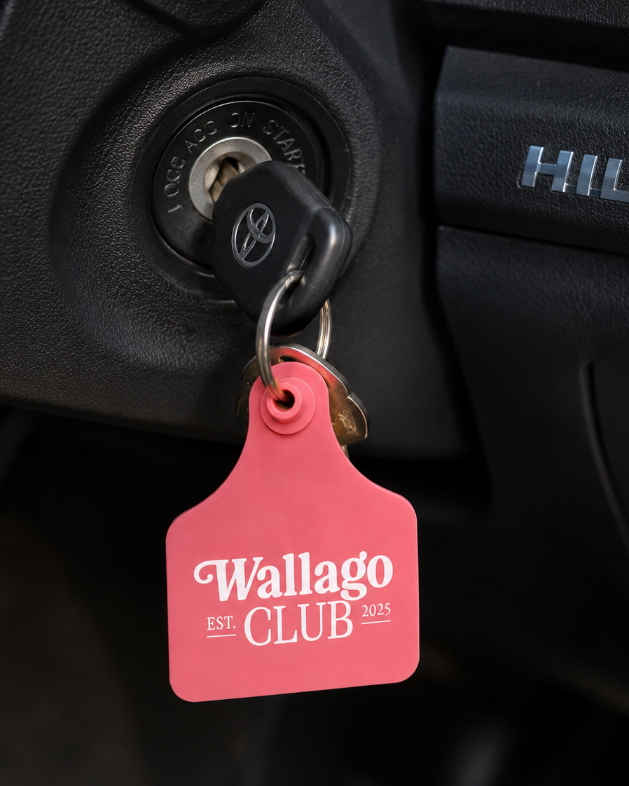 Pink keychain tag with 'Wallago Club' text attached to a car key in a Toyota Hilux ignition.
