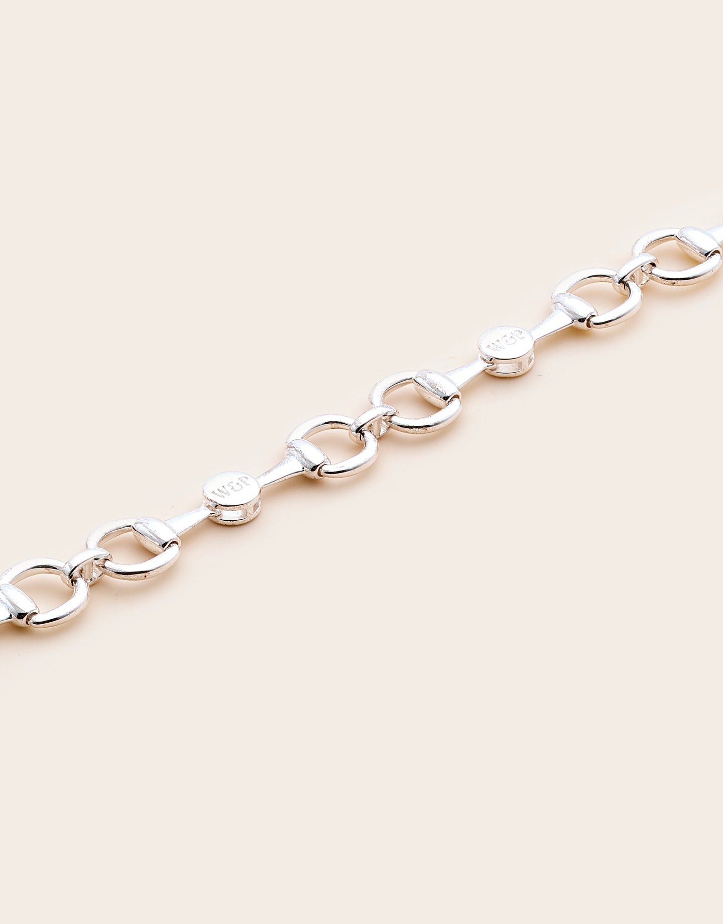 Bit of Elegance Chunky Necklace