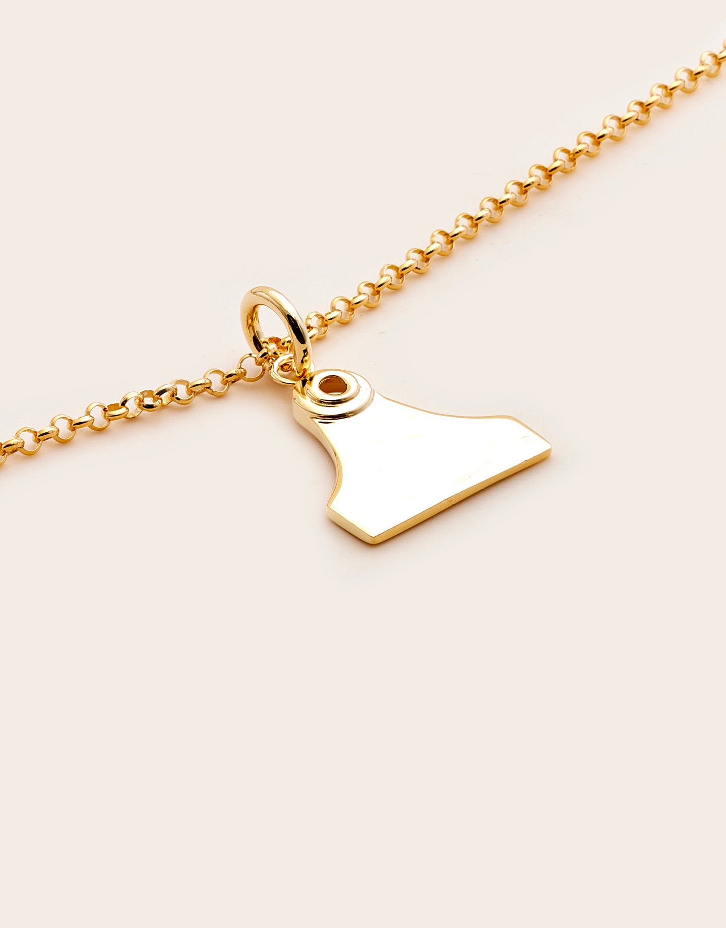 Cattle Tag Necklace Medium