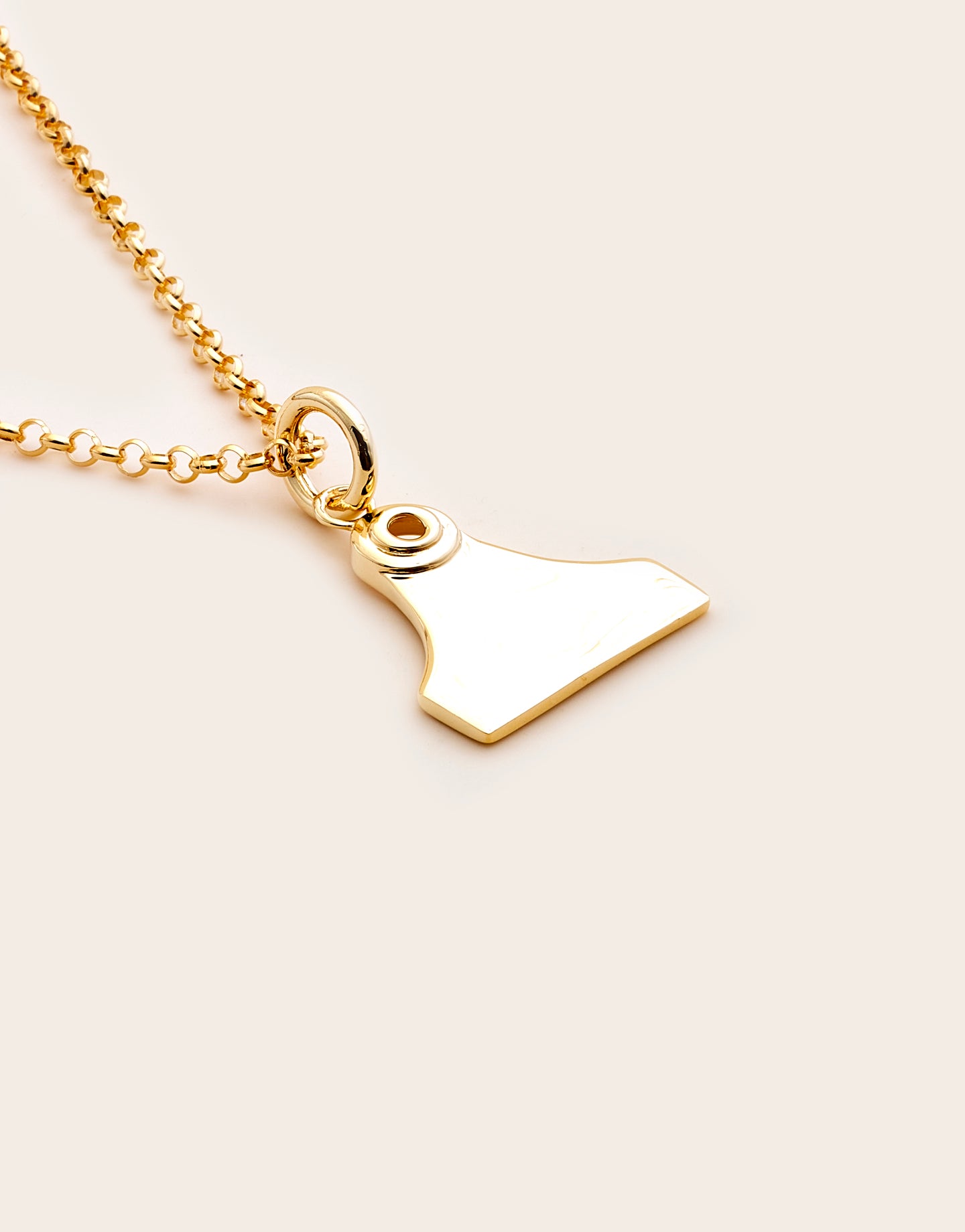 Cattle Tag Necklace Medium