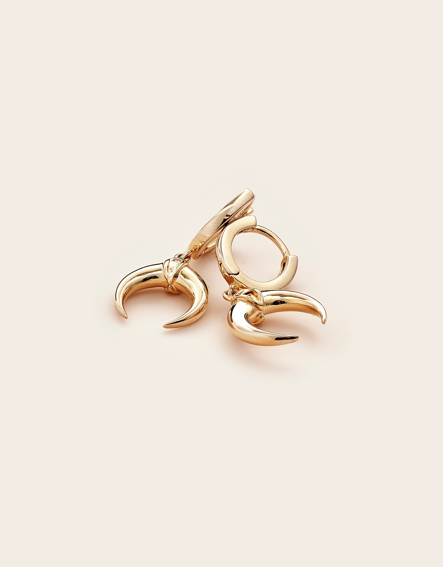 wild chase tusk hoops gold