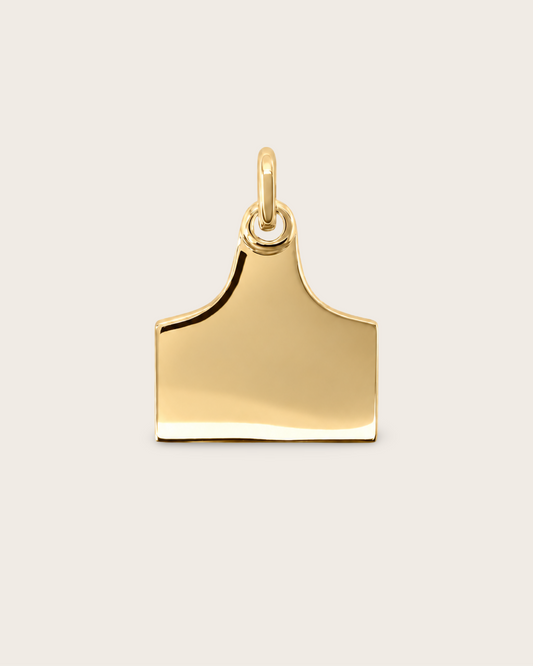 Workhorse High Country Cattle Tag Pendant | Gold Plated