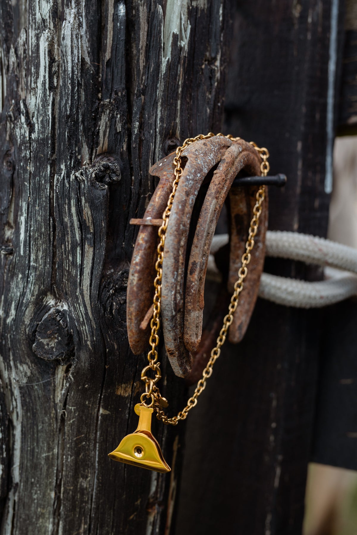 Workhorse High Country Shepherd Whistle Pendant | Gold Plated