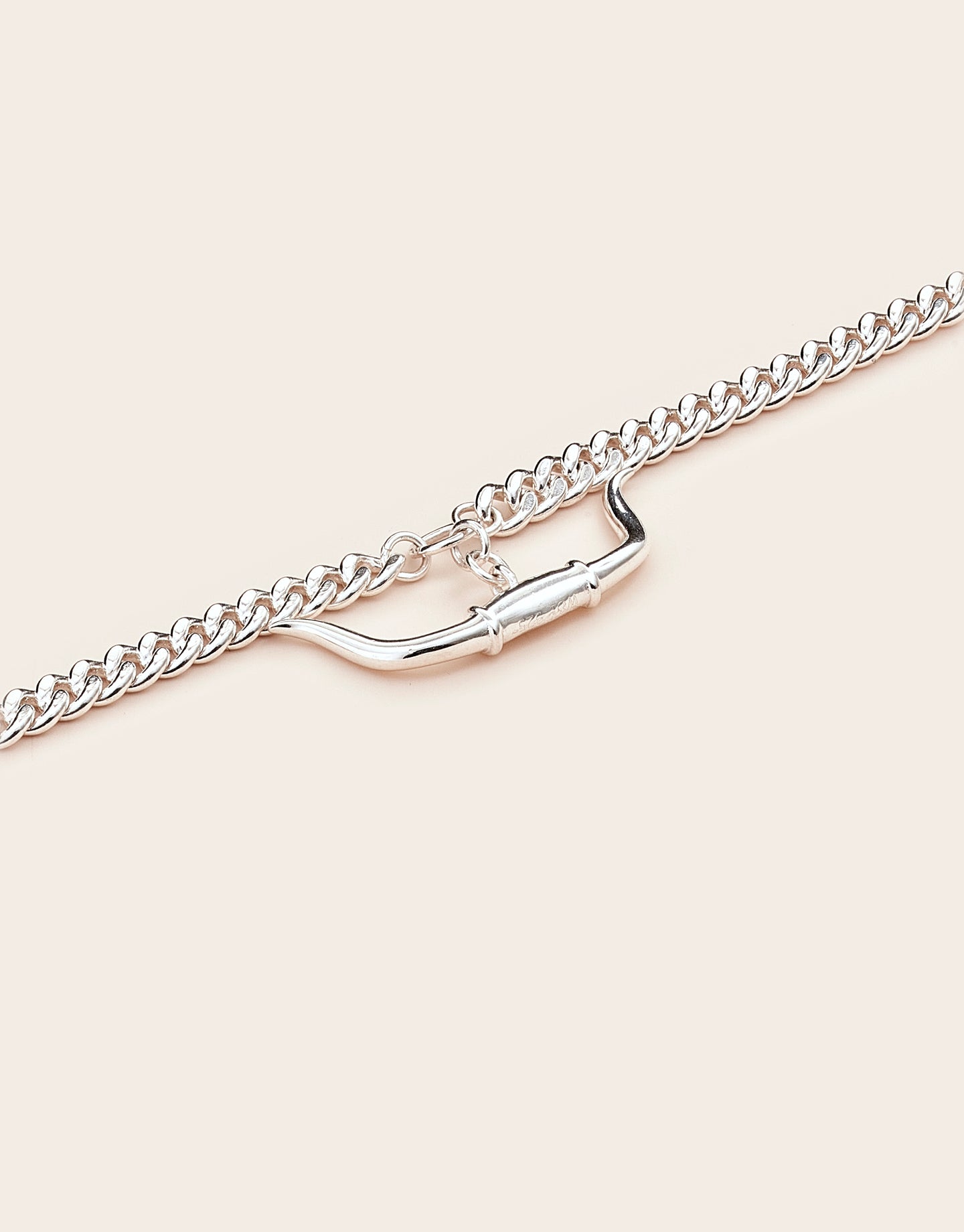 longhorn necklace silver