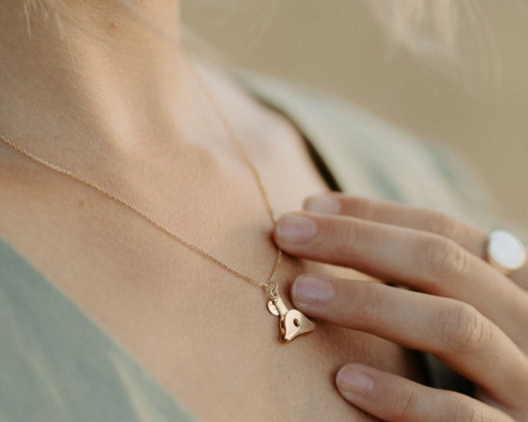 High Country dainty Whistle Necklace – Whistle & Pop